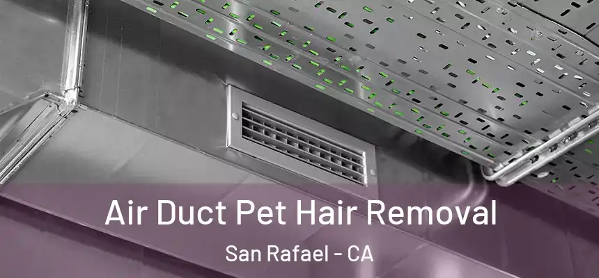 Air Duct Pet Hair Removal San Rafael - CA