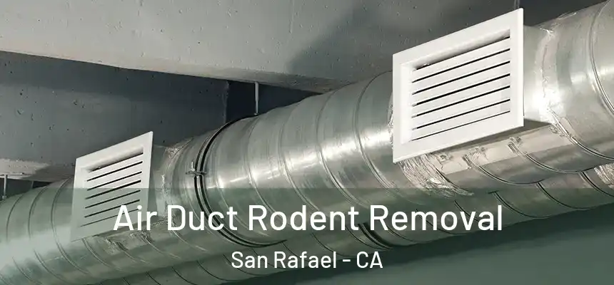  Air Duct Rodent Removal San Rafael - CA