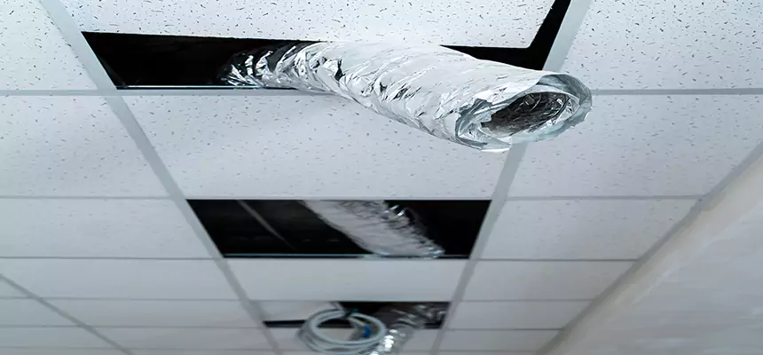 Our Air Duct Pet Hair Removal Services in San Rafael, CA