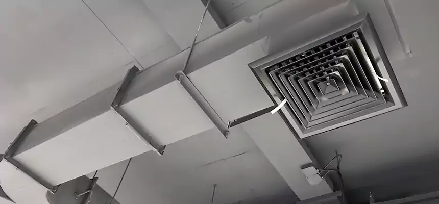 Restorative Allergy Relief Vent Cleaning – Coil, Blower & Housing Detail in San Rafael