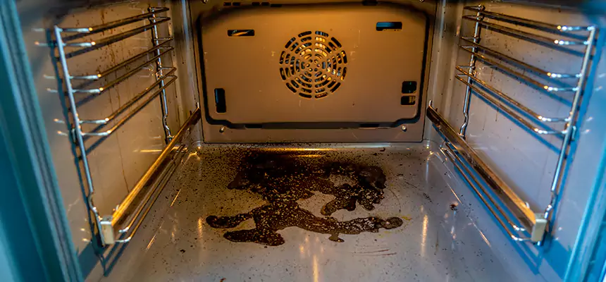 Our Dryer Vent Mold Cleaning Services in San Rafael, CA