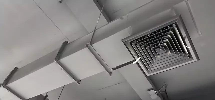 Our Rodent Droppings In Vents Services in San Rafael, CA