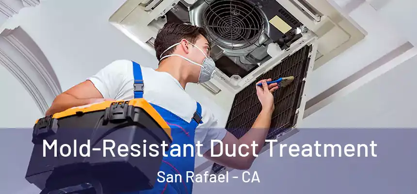  Mold-Resistant Duct Treatment San Rafael - CA