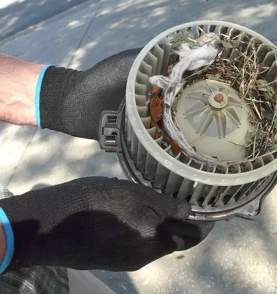 About Air Duct Mice Removal in San Rafael, CA