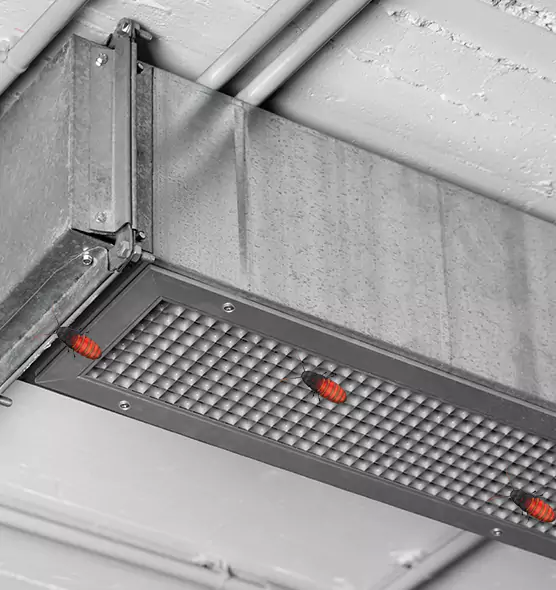 Affordable Insect Removal from Air Ducts in San Rafael, CA