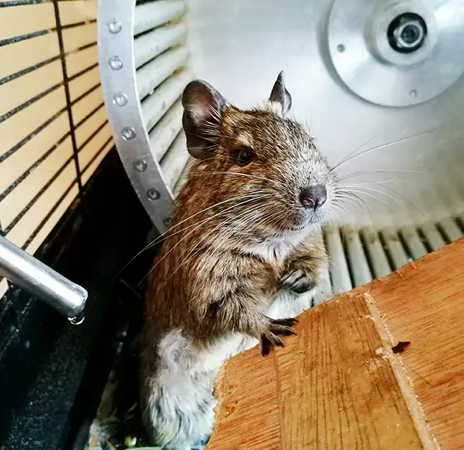 Why Homeowners & Businesses Trust Us San Rafael, CA