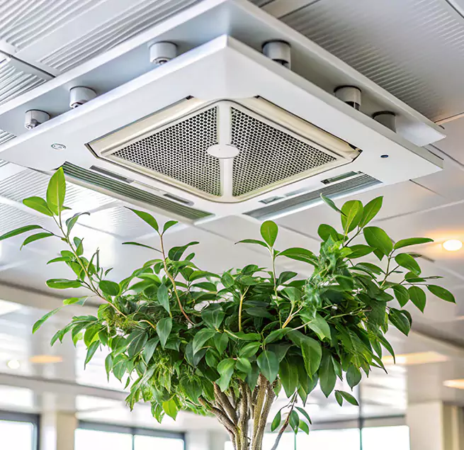 Why Homeowners & Businesses Trust Us in San Rafael, CA