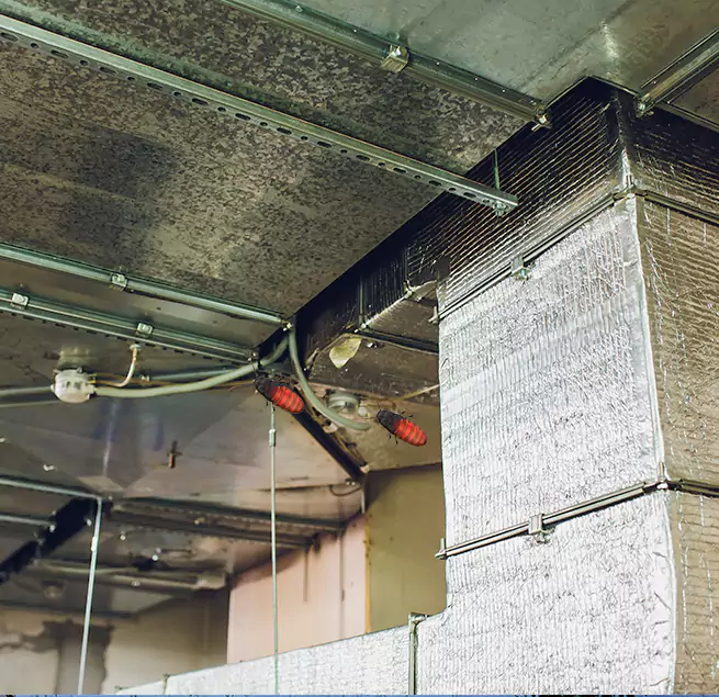 Why Homeowners & Businesses Trust Us San Rafael, CA?